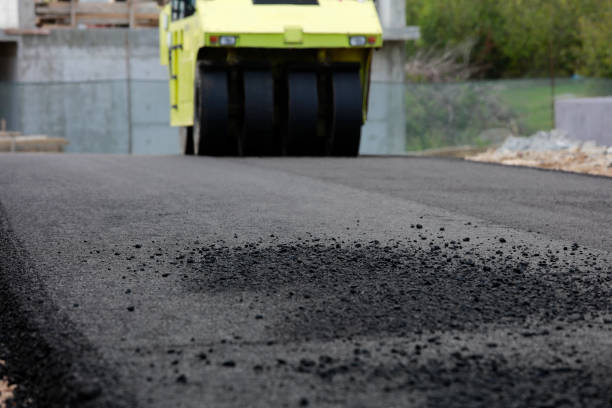 Best Custom Driveway Pavers  in Pocono Ranch Lands, PA