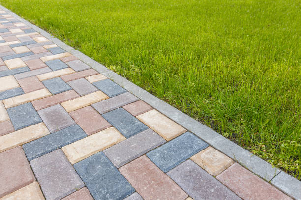 Best Driveway Pavers Near Me  in Pocono Ranch Lands, PA
